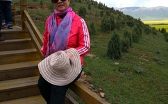 在线观看免费人成视频无码